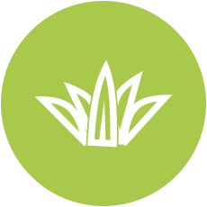 artificial grass auckland