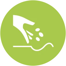 grass seeding company in auckland