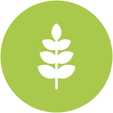 native tree supply and planting in auckland