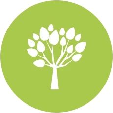 shrub and tree planting in auckland