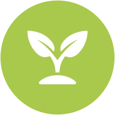 supply plants and planting in auckland