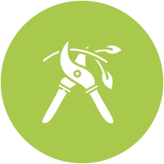 tree trimming waste removal in auckland