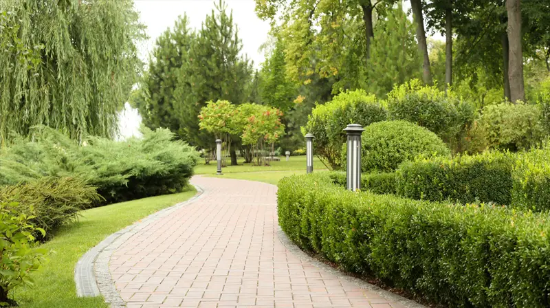 Paved outdoor steps and garden path in an Auckland landscaping project